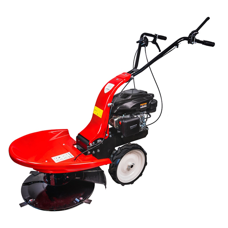 RAIDER Αυτοκινούμενος καταστροφέας βενζίνης 4hp RD-DM01 075017