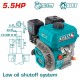 TOTAL ΕΠΑΓΓ. ΚΙΝΗΤΗΡΑΣ ΒΕΝΖΙΝΗΣ 163cc - 5.5HP ΣΦΗΝΑ (TGEN16811)