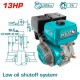 TOTAL ΕΠΑΓΓ. ΚΙΝΗΤΗΡΑΣ ΒΕΝΖ. 389cc - 13HP ΣΦΗΝΑ (TGEN1881)