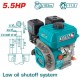 TOTAL ΕΠΑΓΓ. ΚΙΝΗΤΗΡΑΣ ΒΕΝΖΙΝΗΣ 163cc - 5.5HP ΣΦΗΝΑ (TGEN16811)