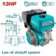 TOTAL ΕΠΑΓΓ. ΚΙΝΗΤΗΡΑΣ ΒΕΝΖ. 389cc - 13HP ΣΦΗΝΑ (TGEN1881)