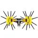 Ελαιοραβδιστικό ASTERAS ELECTRIC ALL CARBON ANGELIS