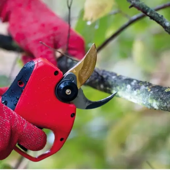 Ψαλίδι Μπαταρίας FELCO 834 + ΔΩΡΟ ΠΡΟΕΚΤΑΣΗ ΑΞΙΑΣ 240€