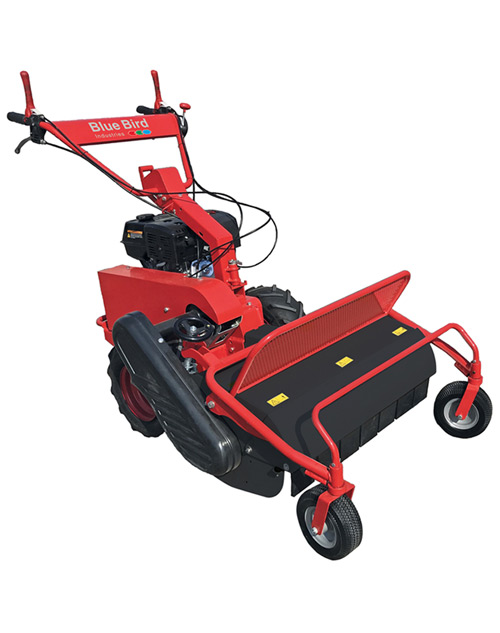 ΚΑΤΑΣΤΡΟΦΕΑΣ ΒΕΝΖΙΝΟΚΙΝΗΤΟΣ BLUE BIRD FM 750 (SG0813)